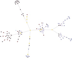 Web Schemas