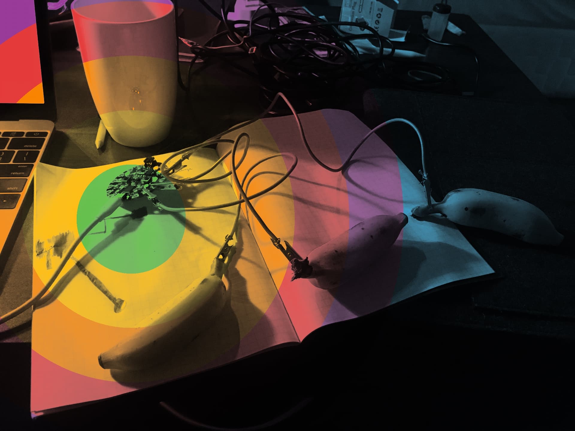 Bananas hooked up to electronics